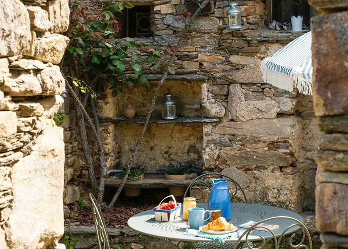 Historic House In Southern France * Mons (Herault)